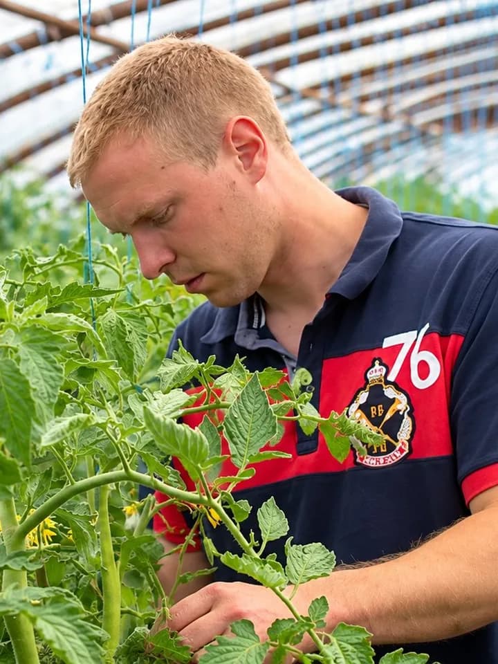 Matthieu Gérard, market gardener, in his greenhouse in Frasnes-lez-Gosselies